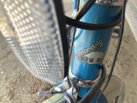 IMG_2416.jpeg