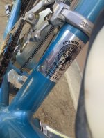 IMG_2411.jpeg