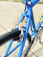 IMG_7350.jpeg