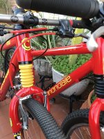 IMG_7153.jpeg
