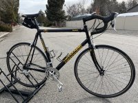 IMG_3042.jpeg