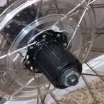 IMG_2268.jpeg