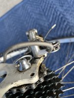 IMG_3104.jpeg