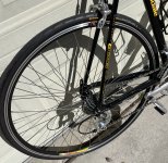 IMG_3128.jpeg
