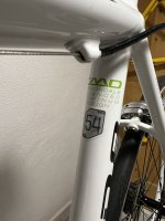 IMG_3809.jpeg