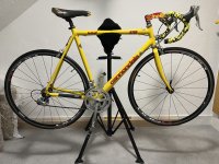 IMG_3812.jpeg