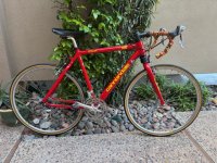IMG_7468.jpeg