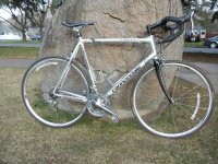 IMG_2461.jpeg