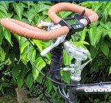 Screenshot_20250715-161947_Samsung Internet.jpg