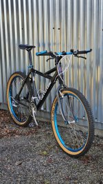 Cannondale Delta V600