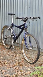 Cannondale Delta V2000