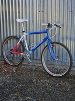 Cannondale M600 "Patriot"