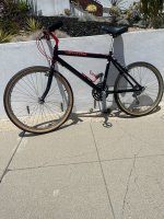 IMG_3791.jpeg