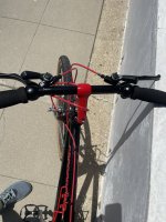 IMG_3795.jpeg