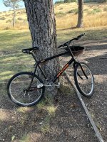 IMG_4707.jpeg