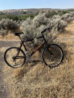IMG_4708.jpeg