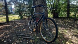 1991 Cannondale SM Omega