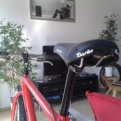 Cannondale Red Shred 1989 (30).jpg