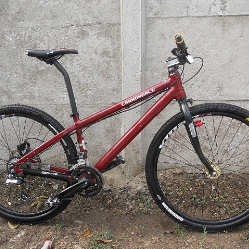 THE big FOOT 27.5  ... an exotic project from the END of EARTH