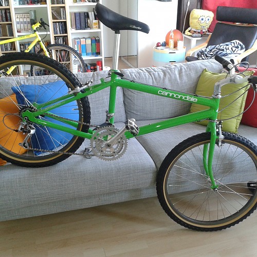 Cannondale SM 500 1987 24x24 (45).jpg