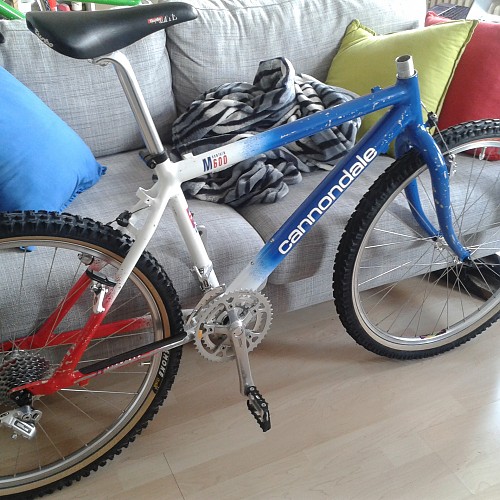 Cannondale M 600 1992 (13).jpg