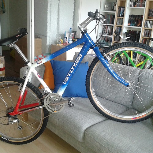 Cannondale M 600 1992 (19).jpg