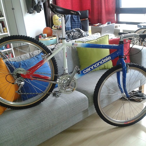 Cannondale M 600 1992 (20).jpg