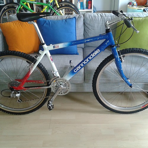 Cannondale M 600 patriot