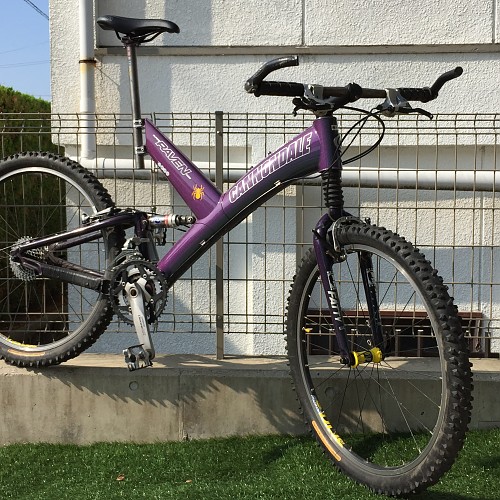 SuperV Raven1000