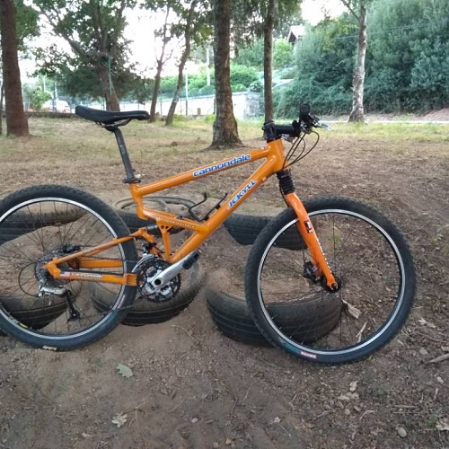 Cannondale Jekyll 1000sl