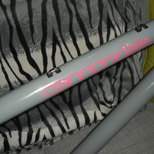 Cannondale SM 600 1987 (13).JPG