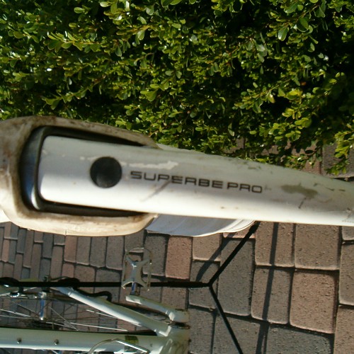 HPIM6559.JPG