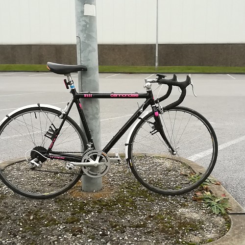 SR600.jpg