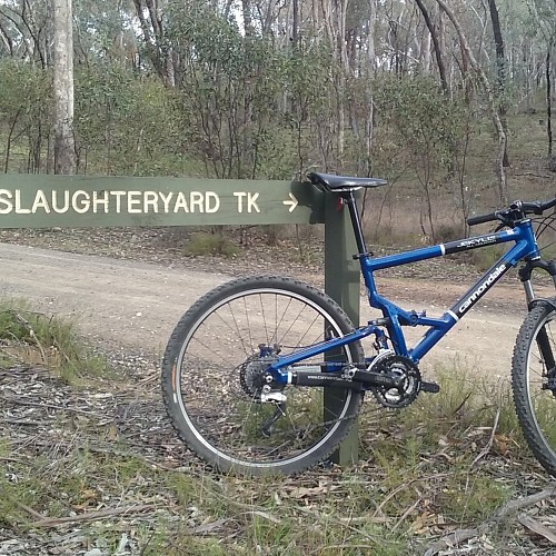 2003 Cannondale Jekyll