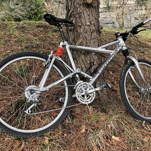 Cannondale Delta V