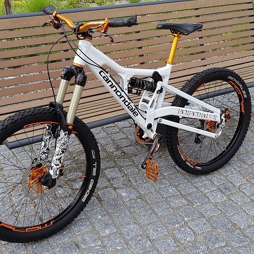 Cannondale Perp