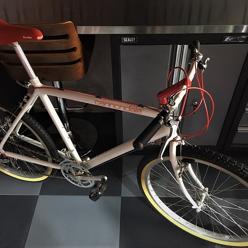 Cannondale 1987.jpg