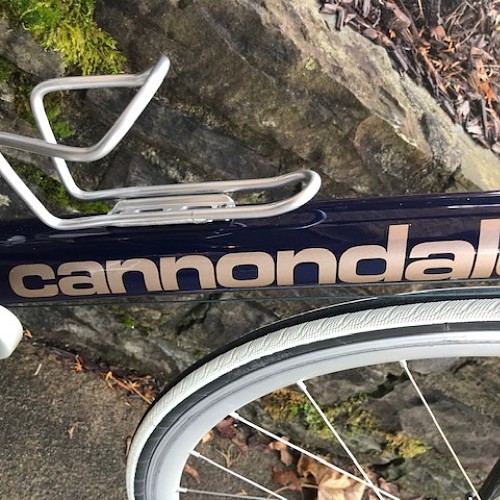 cannondale graphic.jpg