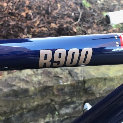 r900 graphic.jpg
