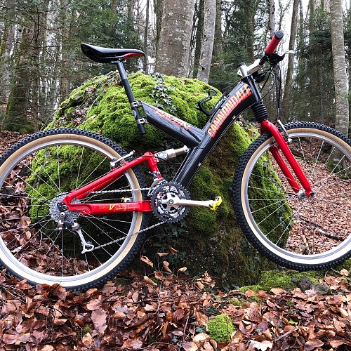 Cannondale Raven 2000