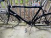 cannondale.jpg