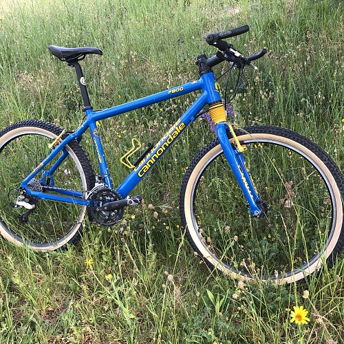 Cannondale F800