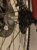A3850E21-A9DC-4A1B-AA3C-6CA5AEBC165F.jpeg