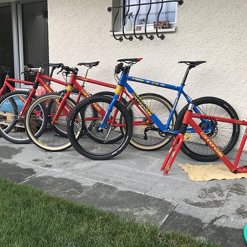 The F group