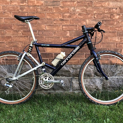 Cannondale Delta V1000