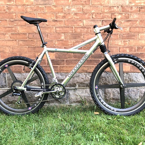 Cannondale Delta V1000
