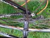 20201008_083128.jpg