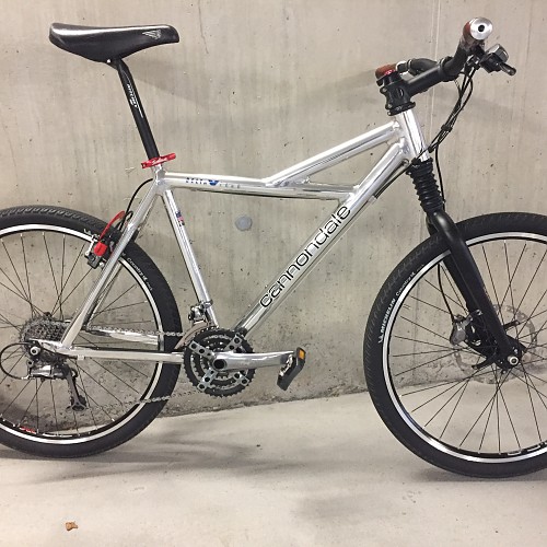 Cannondale Delta V1000