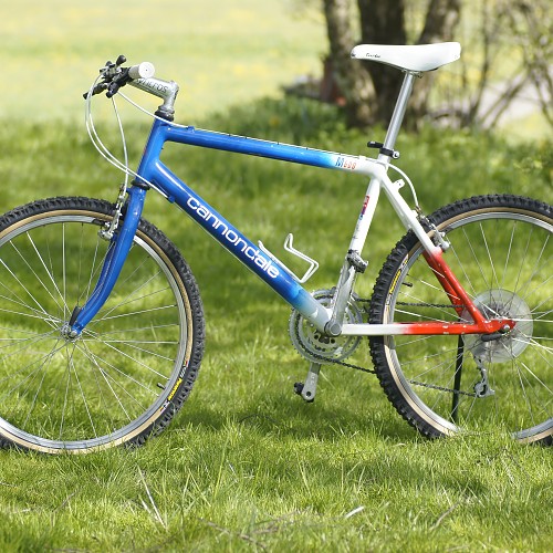 Cannondale M600 "Patriot"