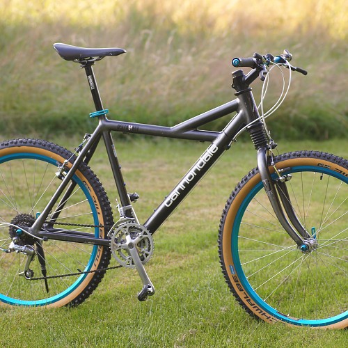 Cannondale Delta V600